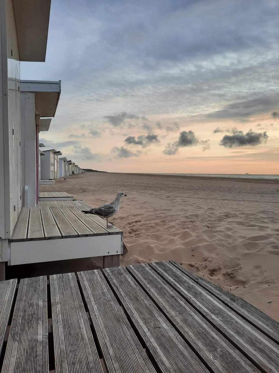 Calais Plage-Gare Appartement Elegant Tout Equipe 外观 照片